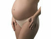 Immagine di Medela mutandina per la maternità nudo S