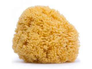 Immagine di Suavinex spugna naturale grande - Accessori per il bagnetto