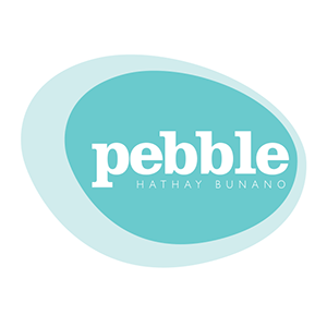 Immagine per il produttore Pebble