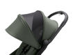 Immagine di Bugaboo passeggino Butterfly forest green