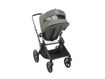 Immagine di Bugaboo Fox 5 completo black/forest green- forest green