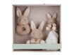 Immagine di Little Dutch Giftbox Baby Bunny