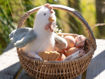 Immagine di Little Dutch gallo cuddly 17 cm Little Farm