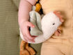 Immagine di Little Dutch gallo cuddly 17 cm Little Farm