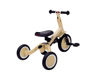 Immagine di Topmark triciclo 4 in 1 Lio pistacchio