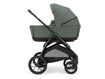 Immagine di Inglesina Sistema Quattro Aptica XT + Darwin Recline i-Size taiga green 2025