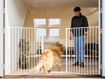 Immagine di Baby Dan barriera per cani Pet Flex L bianco (90-223 cm)