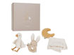 Immagine di Little Dutch set regalo LD8415
