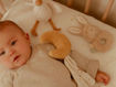 Immagine di Little Dutch set regalo LD8415