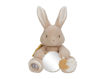 Immagine di Little Dutch peluche multi attività baby bunny