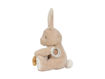 Immagine di Little Dutch peluche multi attività baby bunny