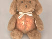 Immagine di Bamboom peluche calmante 425 brown