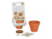 Immagine di Little Dutch vasetto con semi girasole LD9130