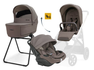 Immagine di Inglesina Sistema Quattro Aptica Darwin Recline Evo senza telaio essence mokka - Navicelle