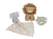 Immagine di Little Dutch set regalo Safari Friends LD8315