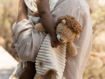 Immagine di Little Dutch doudou leone Safari Friends