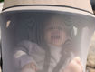 Immagine di Stokke zanzariera per passeggino Yoyo 6+