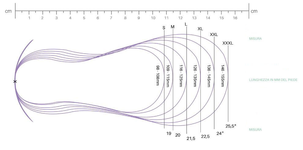 Infografica misurazione scarpina